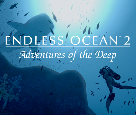 Wii Game Endless Ocean 2: Software Free Download