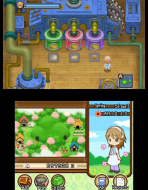 harvest moon tale of two towns 3ds