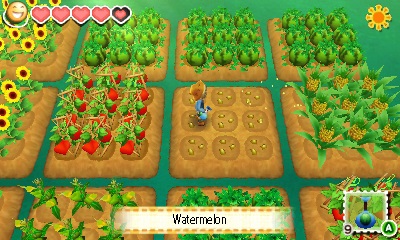 story of seasons ds