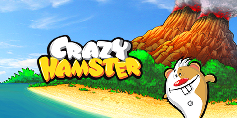 Crazy Hamster Nintendo Dsiware Spiele Nintendo