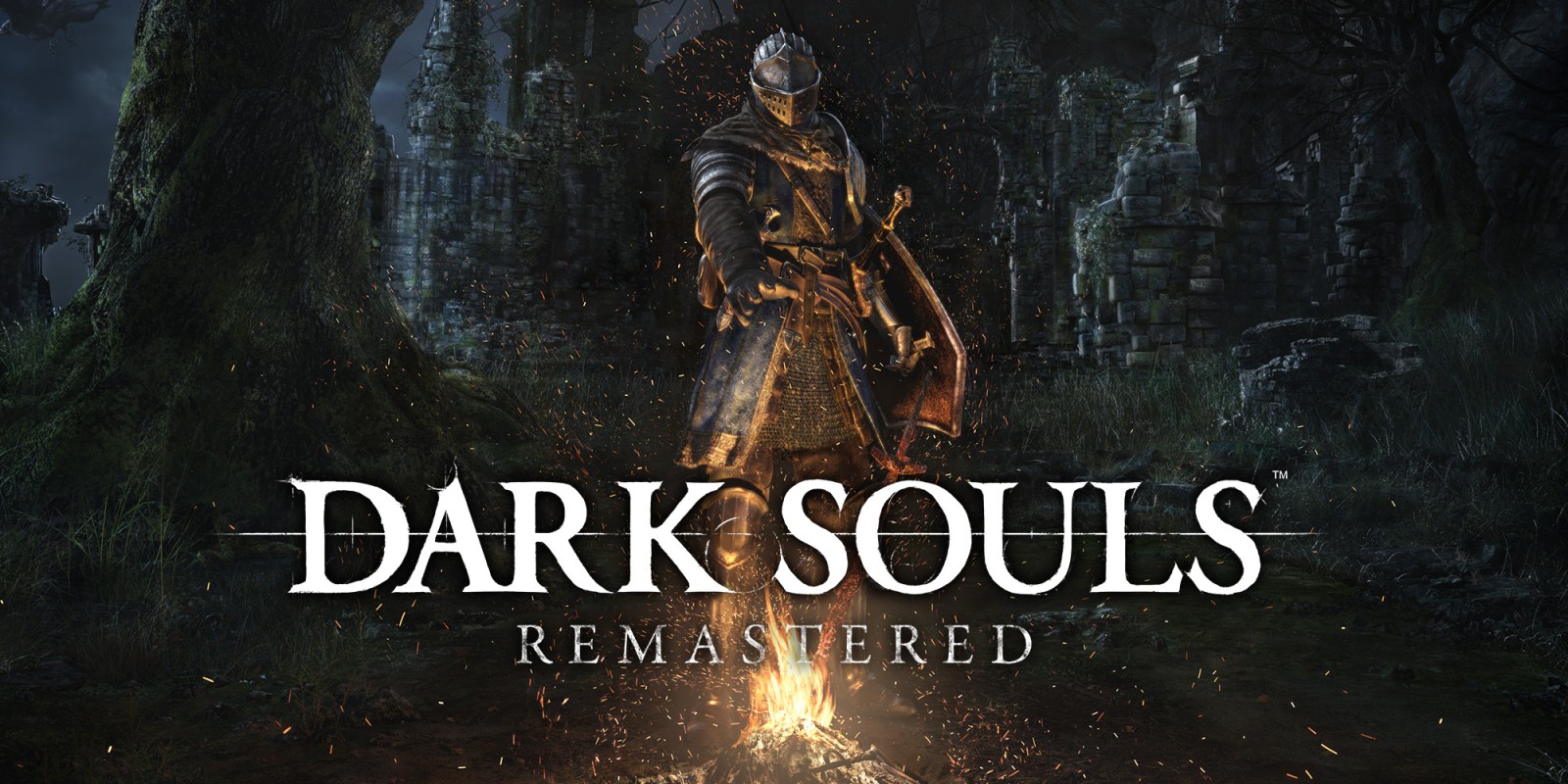 dark souls remastered switch release date