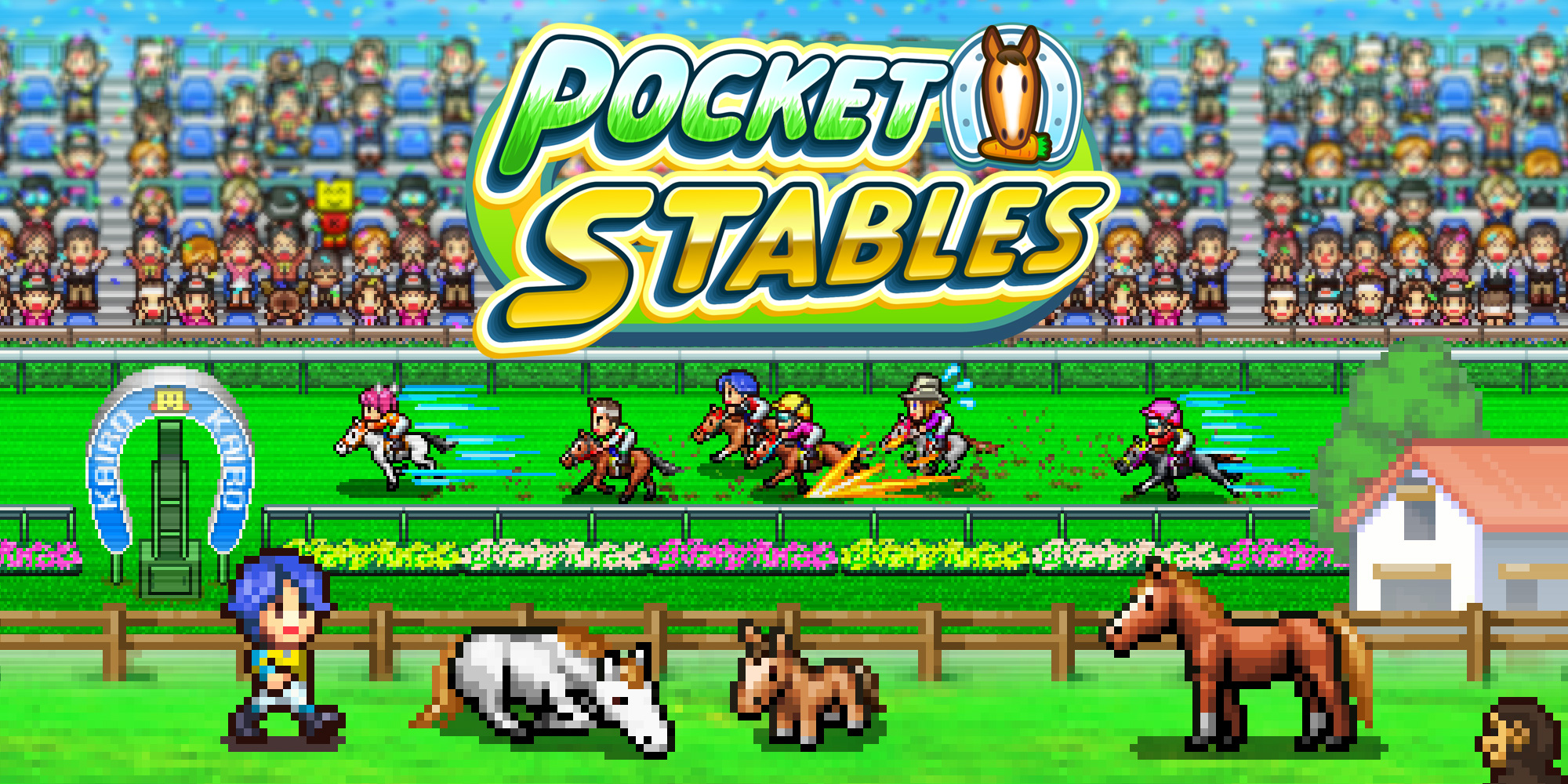 racing multiple horses on pocket stables