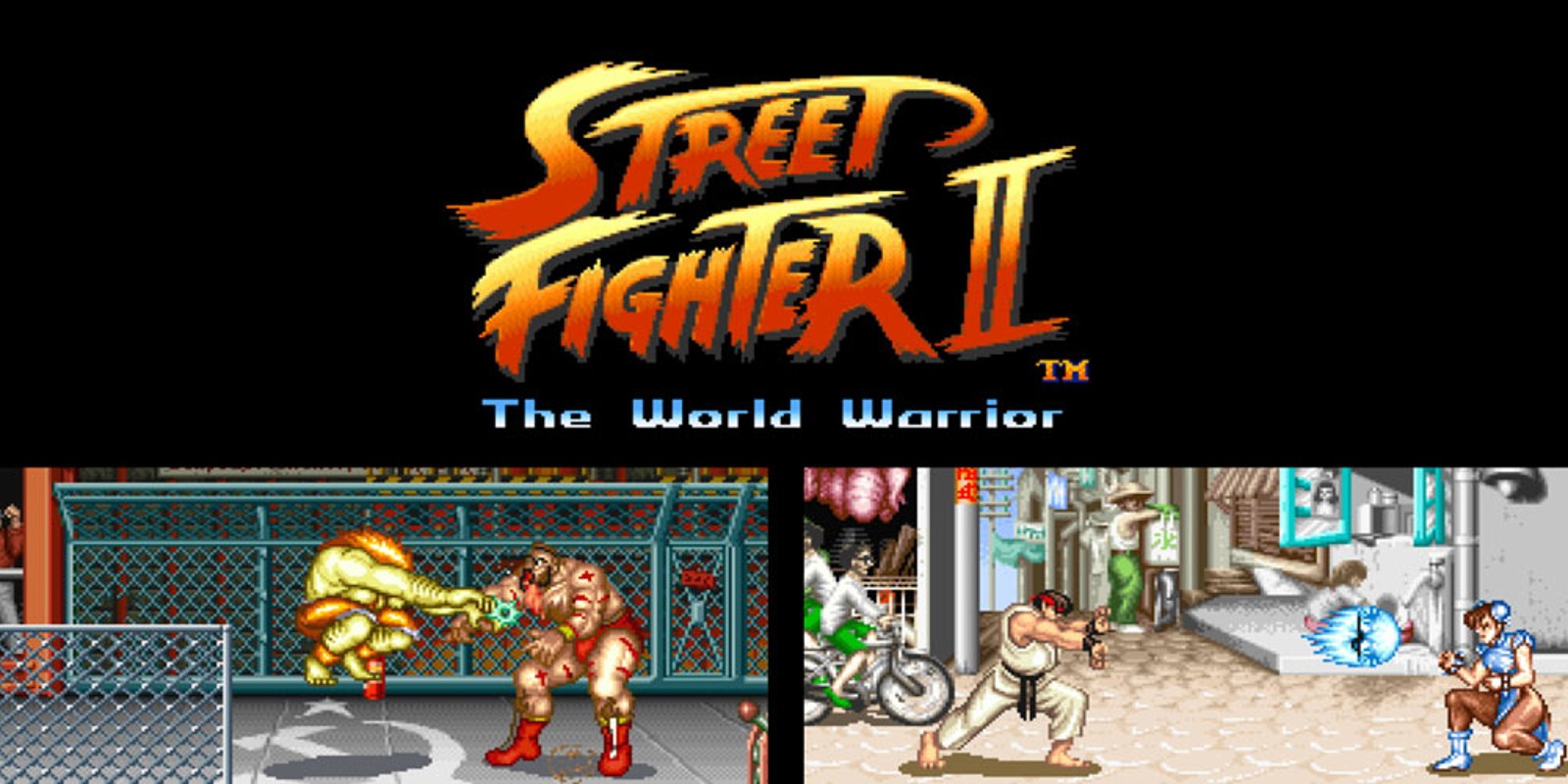 street fighter 2 world warriors