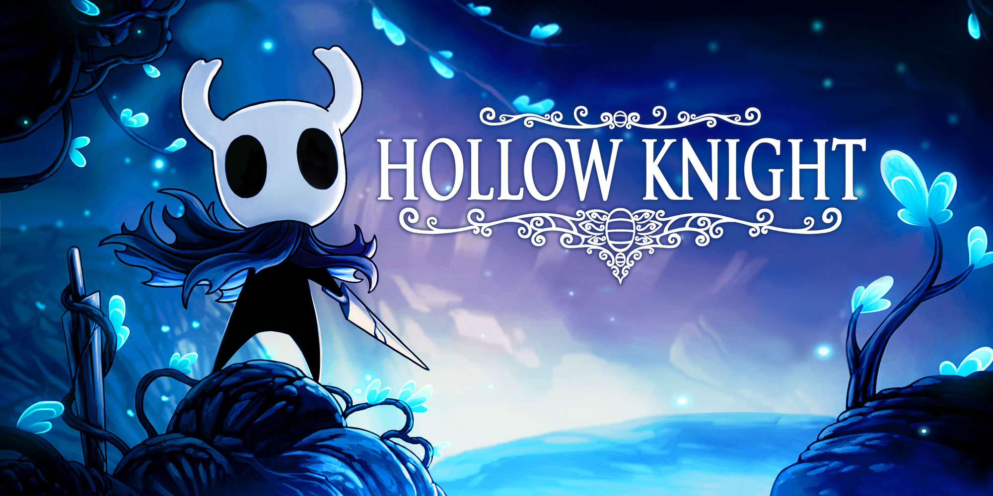 Image result for Hollow Knight